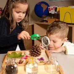 home-our-program-2